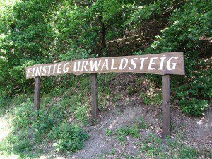 Der Einstieg am Urwaldsteig