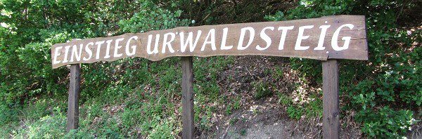 Reisebericht Edersee – Urwaldsteig
