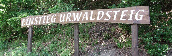 Der Einstieg am Urwaldsteig