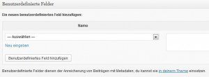 eigene Metaangaben bei WordPress