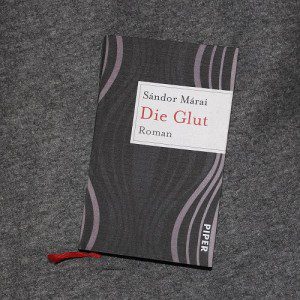 Hier sieht man das Buch die Glut