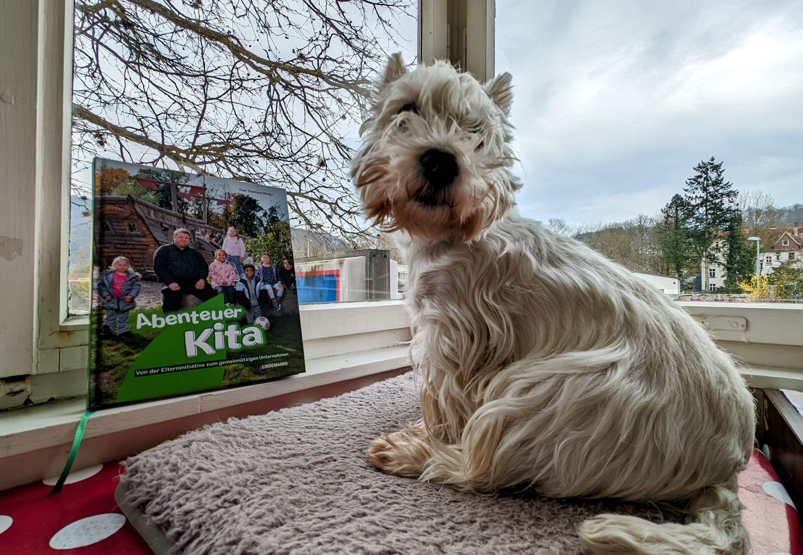 Das Buch Abenteuer Kita mit einem wei8en Hund